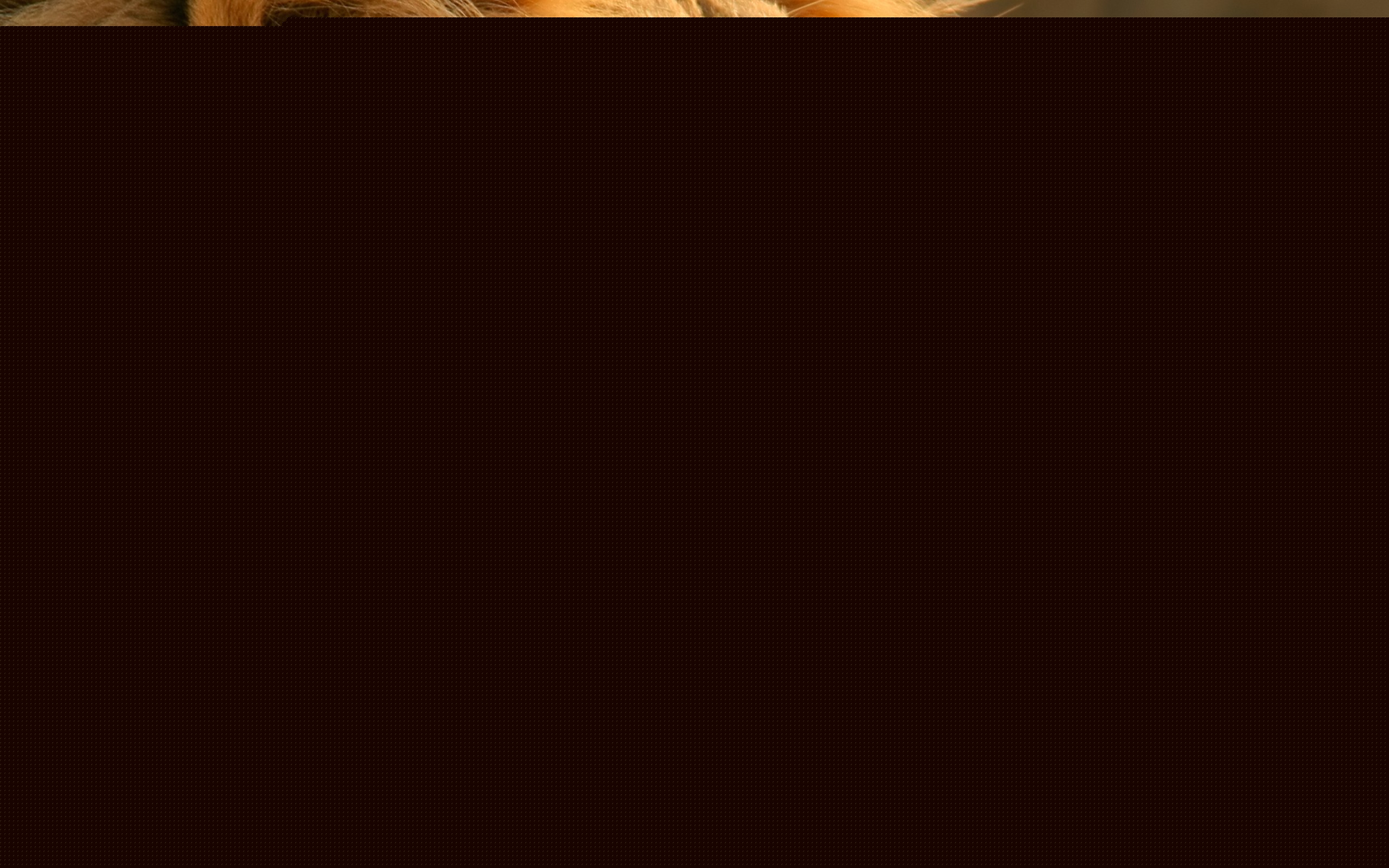 ʨֽ  