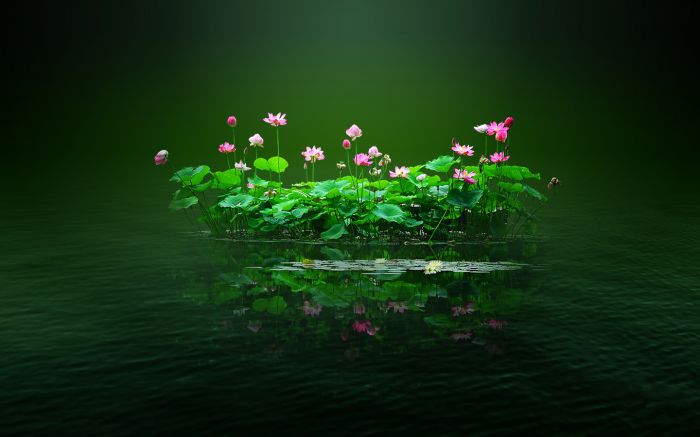 xpֽ ղC޸ֽ (Ĳ20ţ ڰ