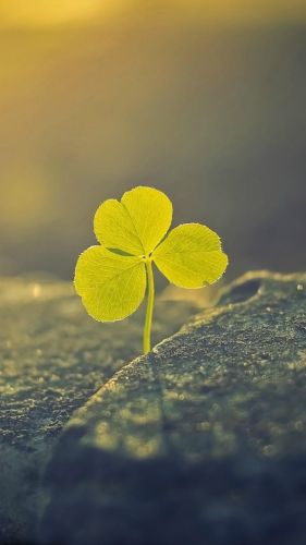 羰ֻֽ_Աóǿջ羰ֽ