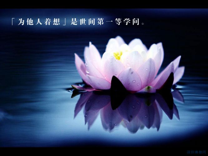 ̬ɻ羰ͼƬ ׶羰ͼƬֽ