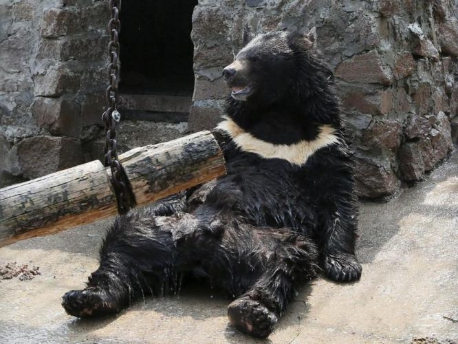 ȫ·Χ ȫ·Χж ֵߴ40϶