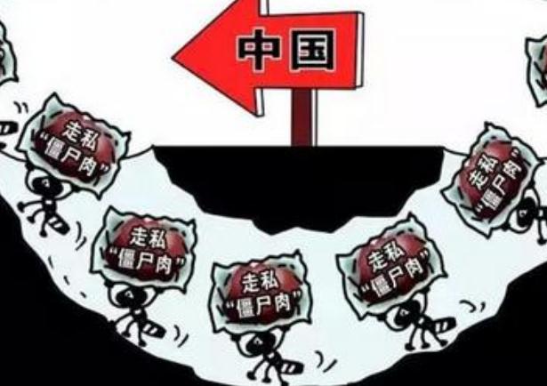 ʬ߻ػ ۡʬ⡱ֻע䡱