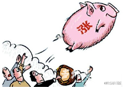 ۸4 201534(08.24-08.28)Ʒ鱨