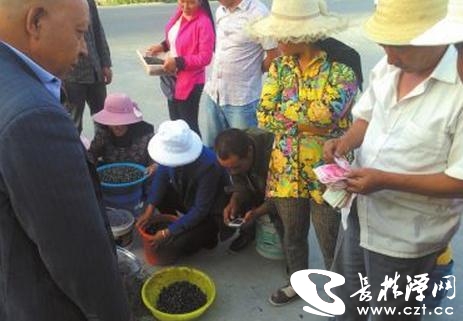 ɲԭƽ ǧӿຣԭ轣[ŭ]