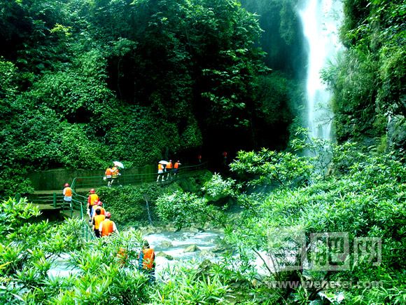 عɽϿȺ̬ξ  4A 724A+ȫ1755Aպãл