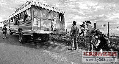 ھͷ 2015Ҳ̶ʮɥھͷ̵