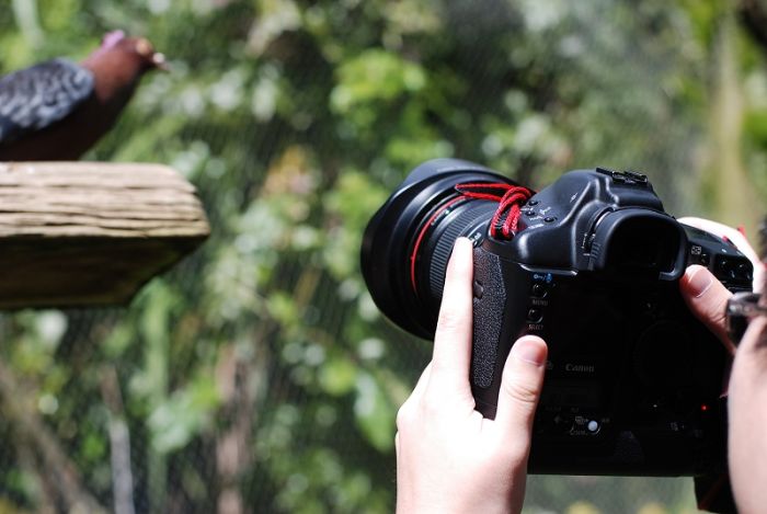 nikon d80 ɭ ῵ NIKON D80 D90  ֱ غ MB-D80 