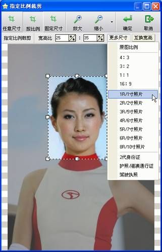 һƬߴС ٤--һٳʮ꣡ˣ